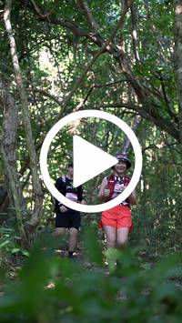 BIB:  <button type="button" onclick="openModal(28078534)" class="btn btn-primary btn-sm float-right" data-toggle="modal" data-target=".modal-high-quality">
                <i class="fa fa-download"></i> Download
                </button>